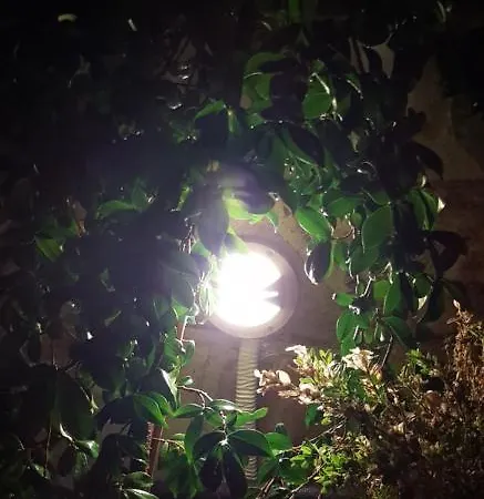 Appartement Grellia *